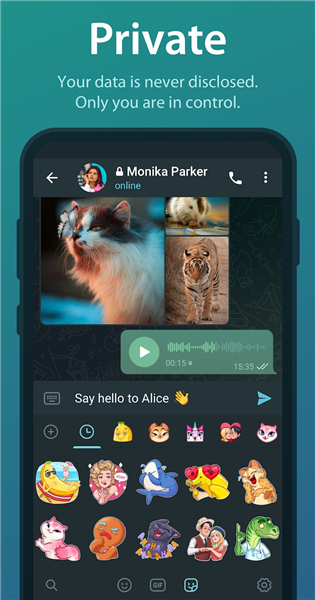 纸飞机APP安卓版