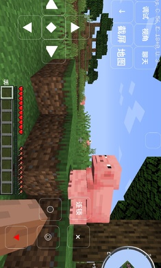 我的世界凋零生存叶枫版