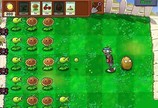 植物大战僵尸单机版无限阳光