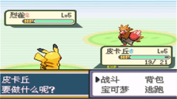 口袋妖怪圣灰内置修改器版