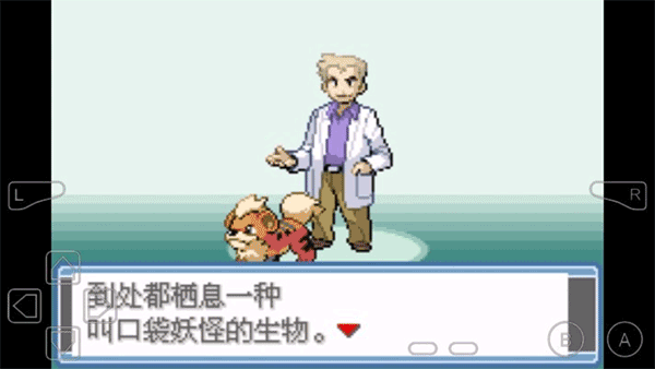 口袋妖怪永恒之焱游戏