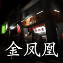 孙美琪疑案金凤凰最新版