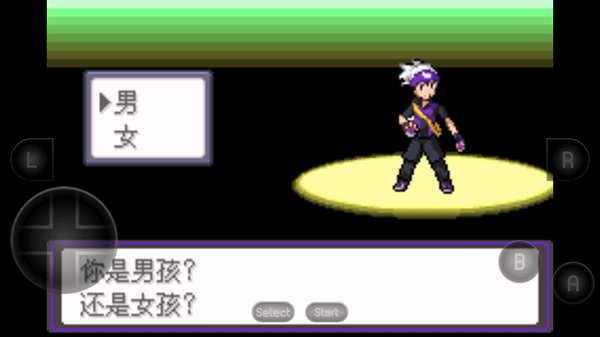 口袋妖怪漆黑的魅影9.0金手指手机版