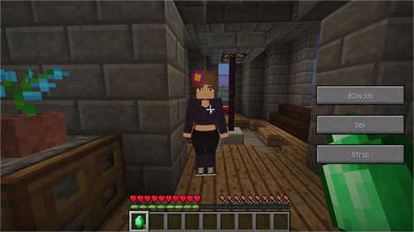 珍妮模组中文版安卓