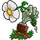 植物大战僵尸e版无限阳光