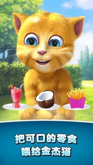 会说话的金杰猫2游戏最新版