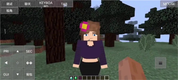 我的世界珍妮冒险免费