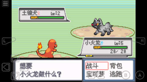 口袋妖怪白金光无限背包