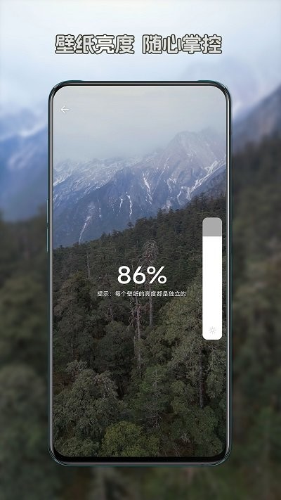 星咩视频壁纸软件