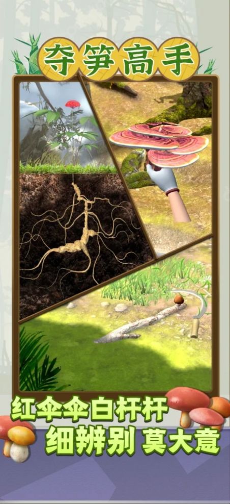 夺笋高手折相思