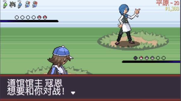 宝可梦肉鸽游戏图片14