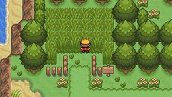 口袋妖怪釉色内置修改器作弊菜单