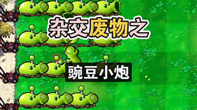 植物大战僵尸废物版无限阳光