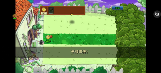 植物大战僵尸ikun版游戏