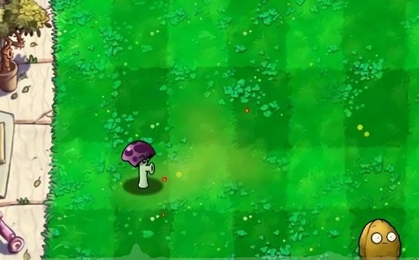 植物大战僵尸胆小菇之梦手游