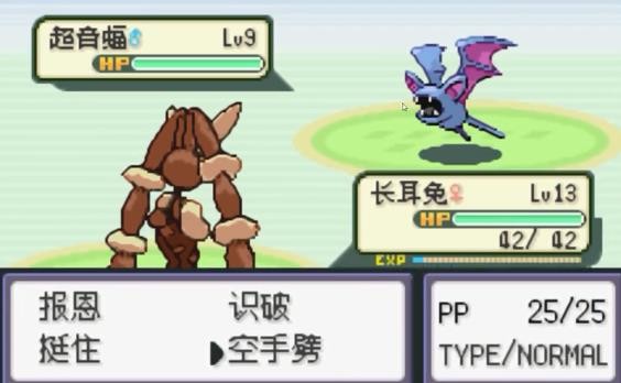 口袋妖怪火箭队中文版