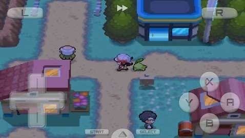 口袋妖怪金心银魂