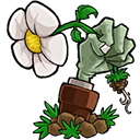 植物大战僵尸转基因版南竹0v0制作