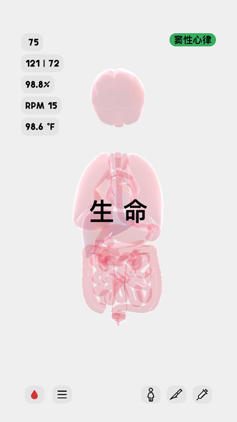 生命人体模拟器中文版