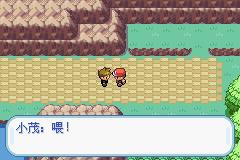 口袋妖怪叶绿金手指