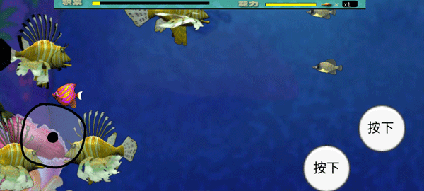 m木糖m大鱼吃小鱼