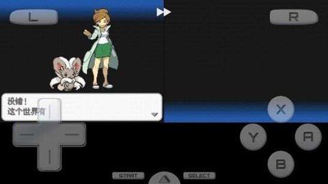 口袋妖怪黑白内置菜单