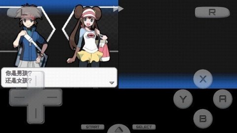 口袋妖怪黑白内置菜单