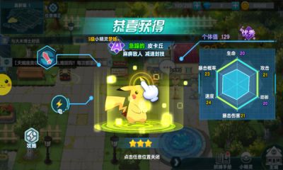 精灵宝可梦九重天汉化版