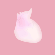 生命LIFE中文版安卓