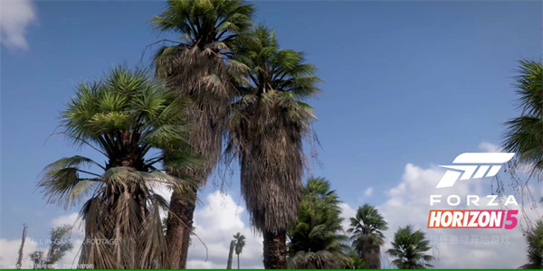 地平线5无限金币修改器版