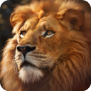 野兽领主新世界国际版