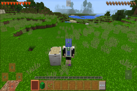 生存战争2黑蝎枪械mod安卓版