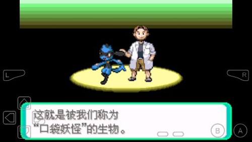 口袋妖怪冰之冒险作弊版