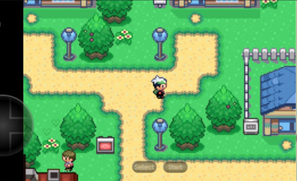 口袋妖怪空之花神作弊版