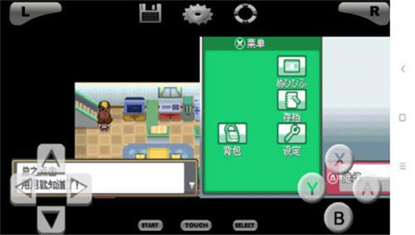 口袋妖怪魂银汉化版