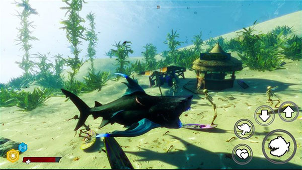 深海大鱼吃小鱼游戏