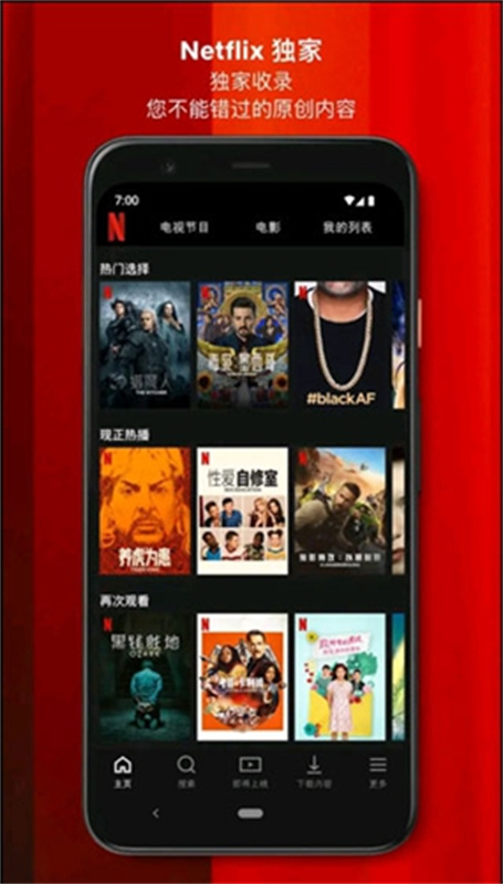 网飞netflix中文版