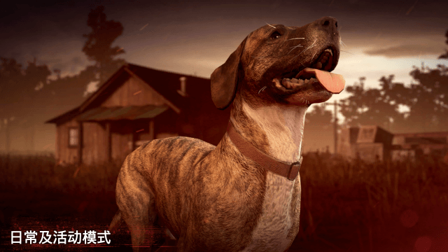 勇闯死人谷2全武器无限子弹