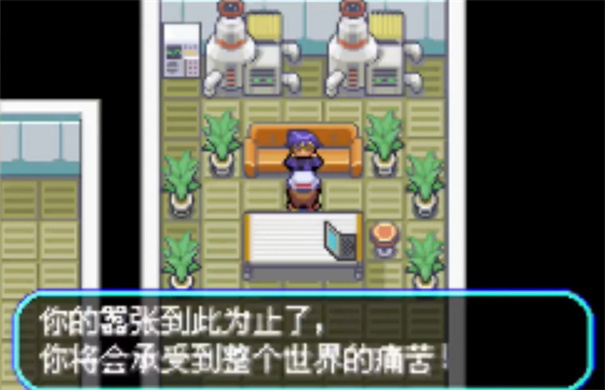 口袋妖怪口袋暴龙汉化版