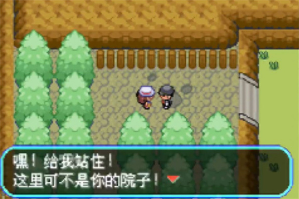 口袋妖怪口袋暴龙汉化版