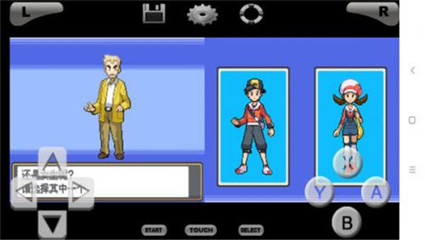 口袋妖怪魂银汉化版