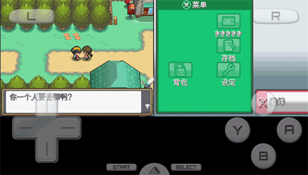 口袋妖怪魂银汉化版