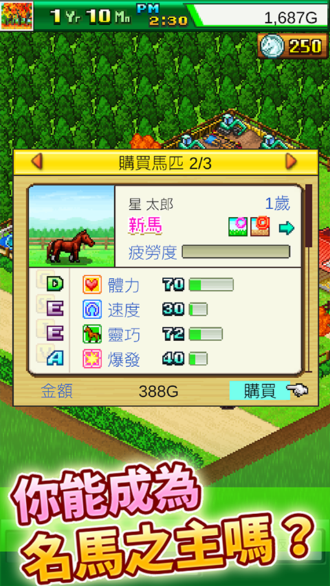 开罗赛马牧场物语汉化版