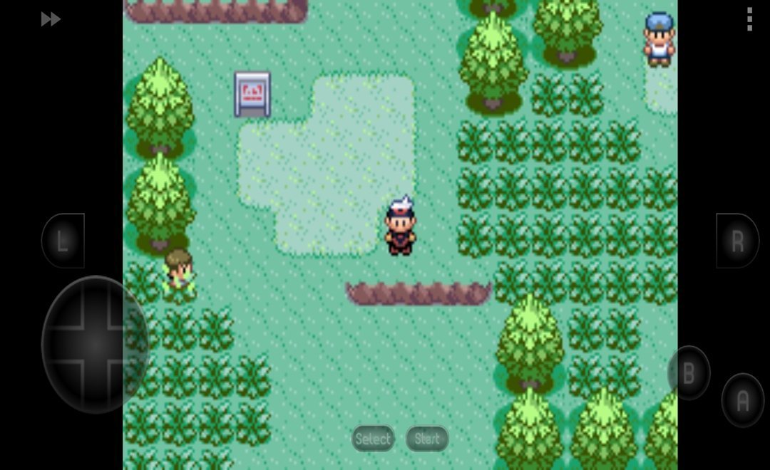 口袋妖怪红宝石中文版4.9.9.6