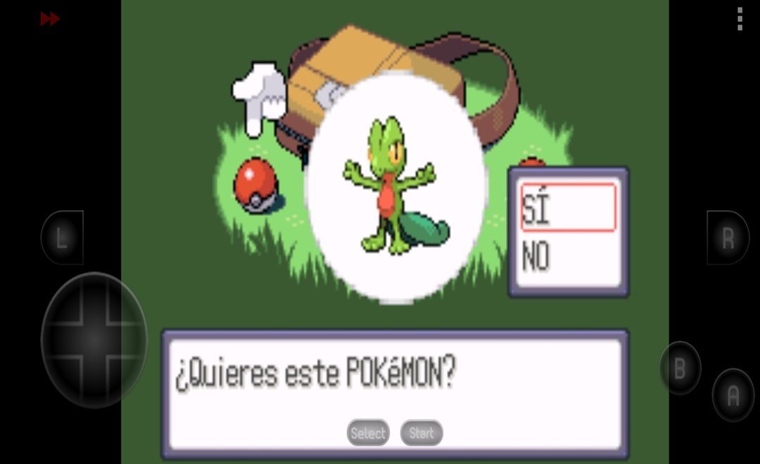 口袋妖怪红宝石中文版4.9.9.6