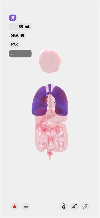 life生命模拟器汉化版