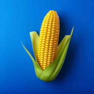 农场之地手机版中文版