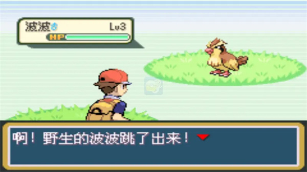 口袋妖怪火红全随机版