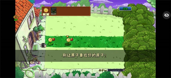 ikun大战黑子版PVZ(植物大战僵尸)