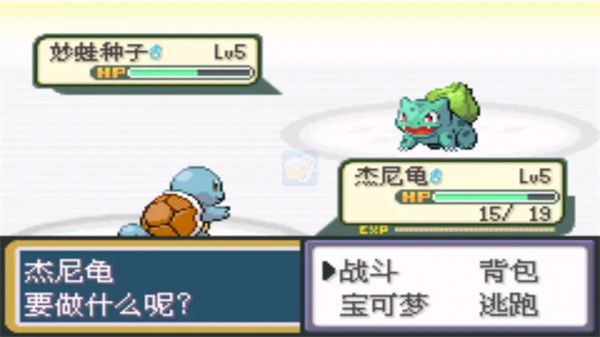 口袋妖怪火红全随机版